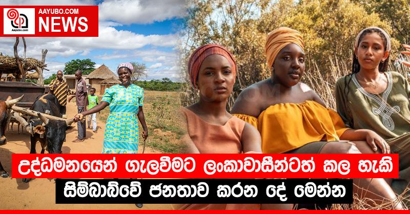 උද්ධමනයෙන් ගැලවීමට ලංකාවාසීන්ටත් කල හැකි සිම්බාබ්වේ ජනතාව කරන දේ මෙන්න