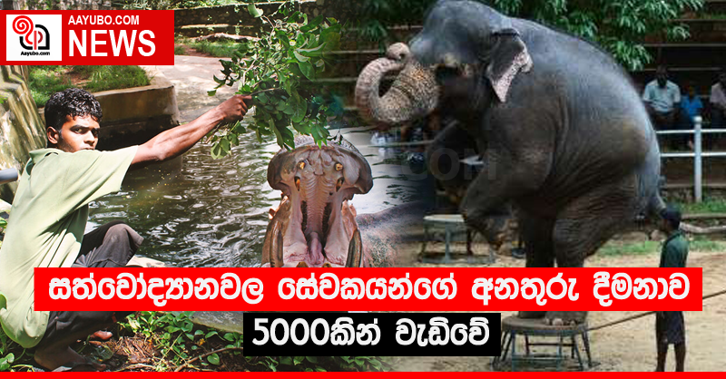 සත්වෝද්‍යානවල සේවකයන්ගේ අනතුරු දීමනාව 5000කින් වැඩිවේ
