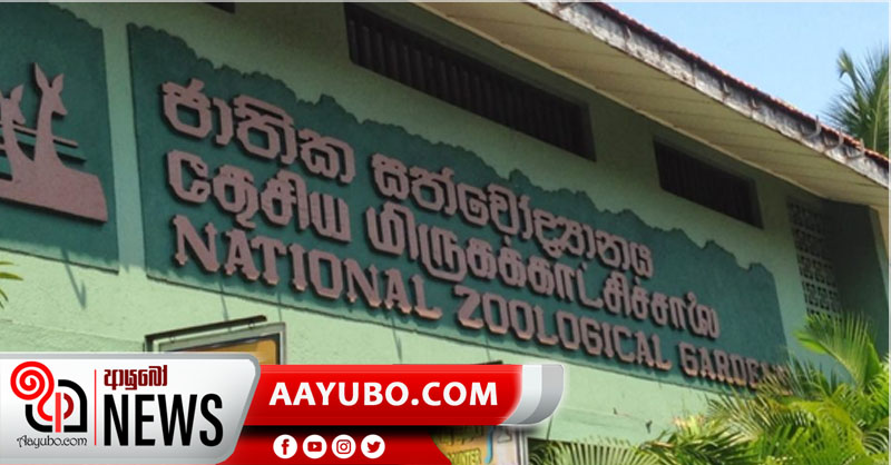 සියලු සත්වෝද්‍යාන සහ උද්භිත උද්‍යාන වසා තැබේ