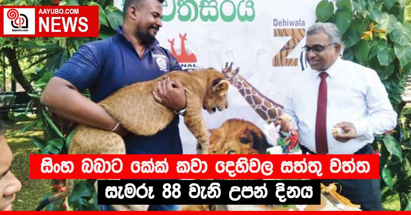 සිංහ බබාට කේක් කවා දෙහිවල සත්තු වත්ත සැමරූ 88 වැනි උපන් දිනය