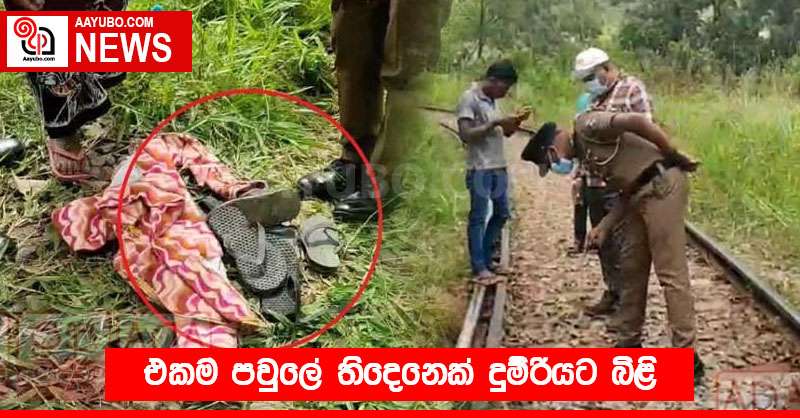 එකම පවුලේ තිදෙනෙක් දුම්රියට බිළි
