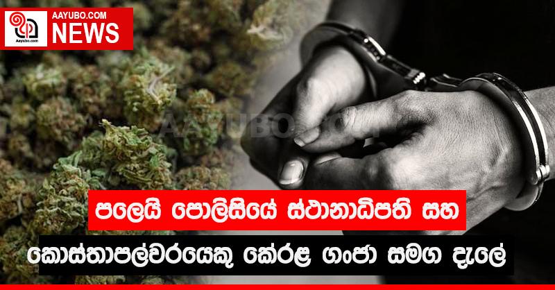 පලෙයි පොලිසියේ ස්ථානාධිපති සහ කොස්තාපල්වරයෙකු කේරළ ගංජා සමග දැලේ