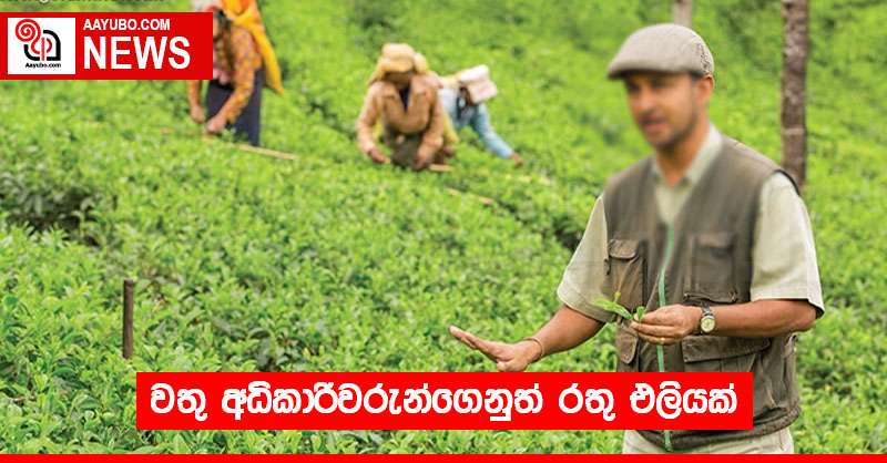 වතු අධිකාරිවරුන්ගෙනුත් රතු එලියක්