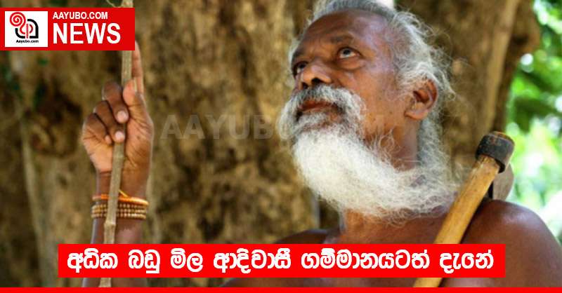අධික බඩු මිල ආදිවාසී ගම්මානයටත් දැනේ