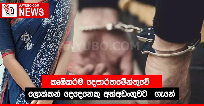 කෘෂිකර්ම දෙපාර්තමේන්තුවේ ලොක්කන් දෙදෙනෙකු අත්අඩංගුවට  ගැනේ