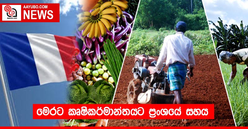 මෙරට කෘෂිකර්මාන්තයට ප්‍රංශයේ සහය
