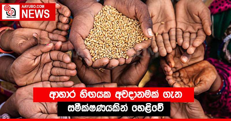 ආහාර හිඟයක අවදානමක් ගැන සමීක්ෂණයකින් හෙළිවේ