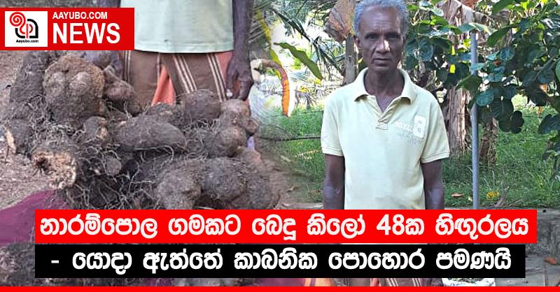 නාරම්පොල ගමකට බෙදූ කිලෝ 48ක හිඟු‍රලය - යොදා ඇත්තේ කාබනික පොහොර පමණයි