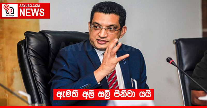ඇමති අලි සබ්‍රි ජිනීවා යයි
