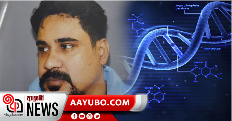 අංගොඩ ලොක්කාගේ මරණය ජීව විද්‍යාත්මකව තහවුරු කිරීමට ඉන්දියාව DNA ඉල්ලයි