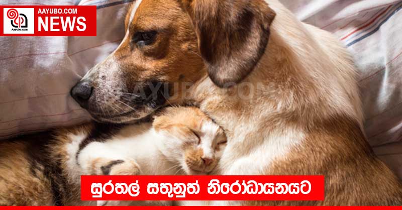 සුරතල් සතුනුත් නිරෝධායනයට