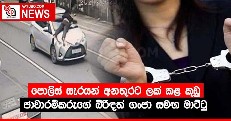 පොලිස් සැරයන් අනතුරට ලක් කළ කුඩු ජාවාරම්කරුගේ බිරිඳත් ගංජා සමඟ මාට්ටු