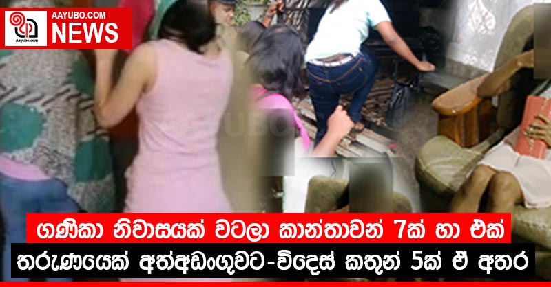 ගණිකා නිවාසයක් වටලා කාන්තාවන් 7ක් හා එක් තරුණයෙක් අත්අඩංගුවට  - විදෙස් කතුන් 5ක් ඒ අතර