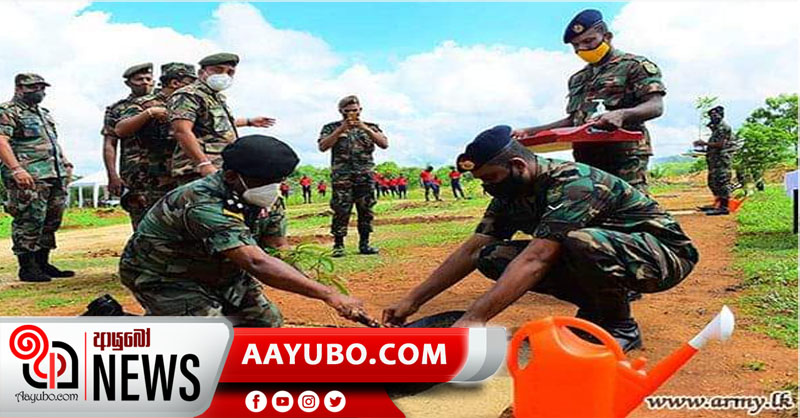 SL Army plants 100,000 saplings in the East in a day