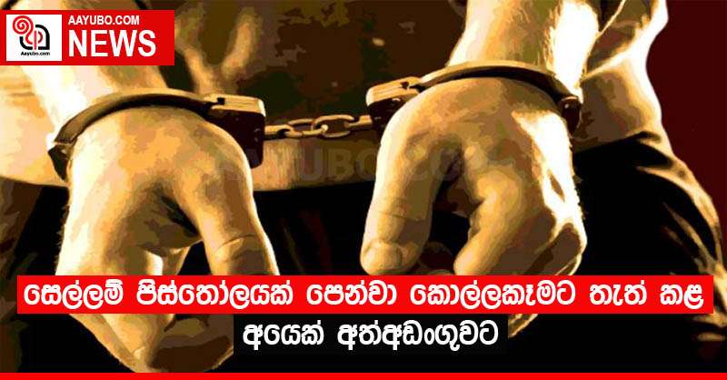 සෙල්ලම් පිස්තෝලයක් පෙන්වා කොල්ලකෑමට තැත් කළ අයෙක් අත්අඩංගුවට