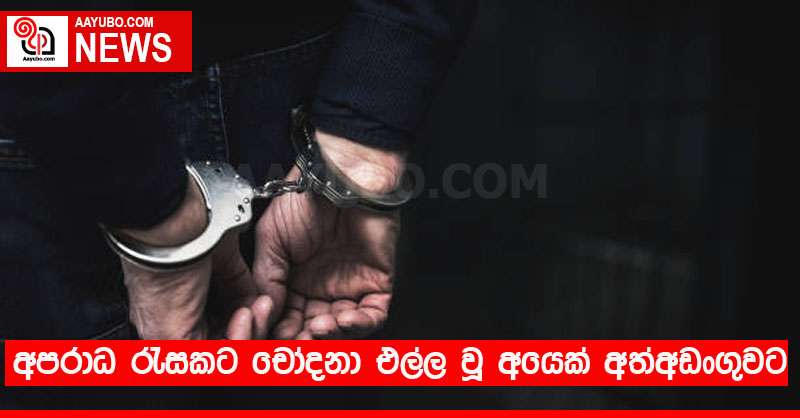 අපරාධ රැසකට සම්බන්ධ පුද්ගලයෙක් අත්අඩංගුවට