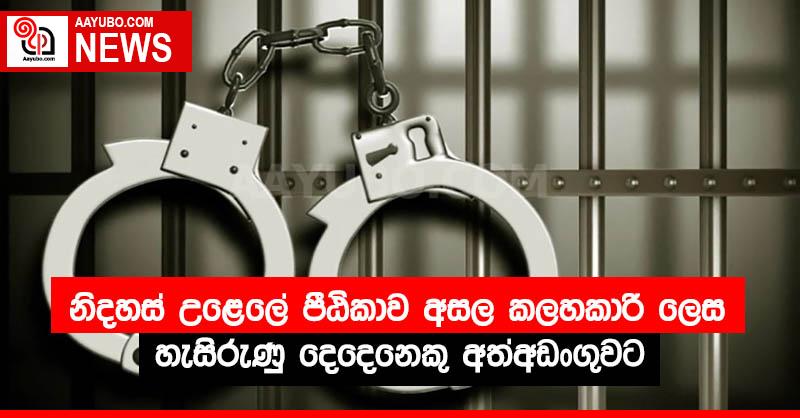 නිදහස් උළෙලේ පීඨිකාව අසල කලහකාරී ලෙස හැසිරුණු දෙදෙනෙකු අත්අඩංගුවට