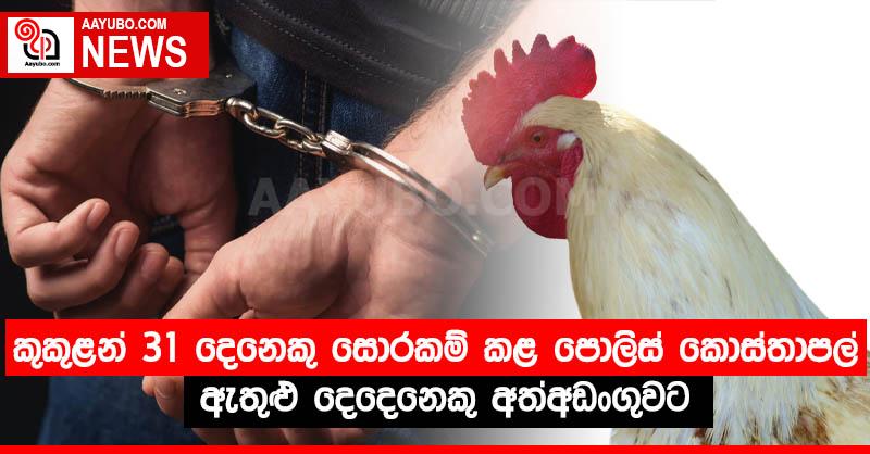කුකුළන් 31 දෙනෙකු සොරකම් කළ පොලිස් කොස්තාපල් ඇතුළු දෙදෙනෙකු අත්අඩංගුවට