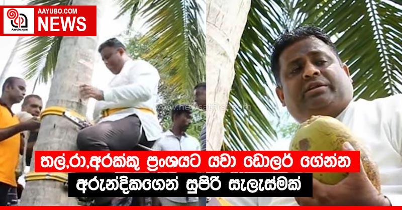 තල්,රා,අරක්කු ප්‍රංශයට යවා ඩොලර් ගේන්න අරුන්දිකගෙන් සුපිරි සැලැස්මක්
