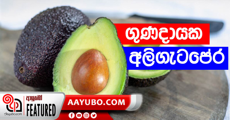 ගුණදායක අලිගැටපේර 