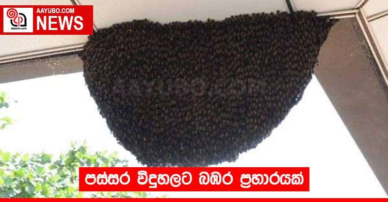 පස්සර විදුහලට බඹර ප්‍රහාරයක්