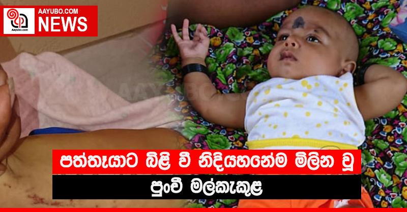 පත්තෑයාට බිළි වී නිදියහනේම මිලින වූ පුංචි මල්කැකුළ