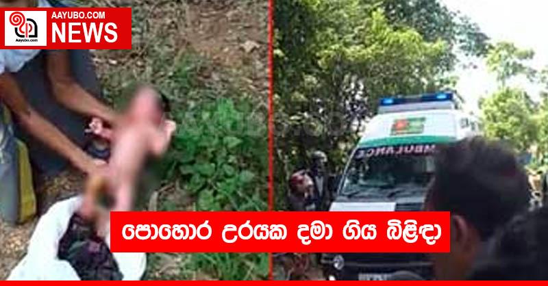 පොහොර උරයක දමා ගිය බිළිඳා 