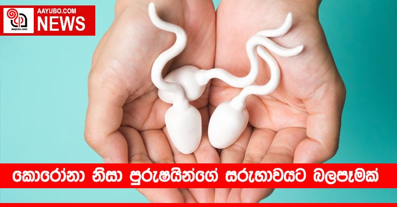 කොරෝනා නිසා පුරුෂයින්ගේ සරුභාවයට බලපෑමක්