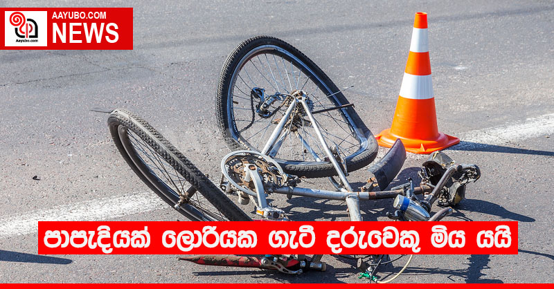 පාපැදියක් ලොරියක ගැටී දරුවෙකු මිය යයි
