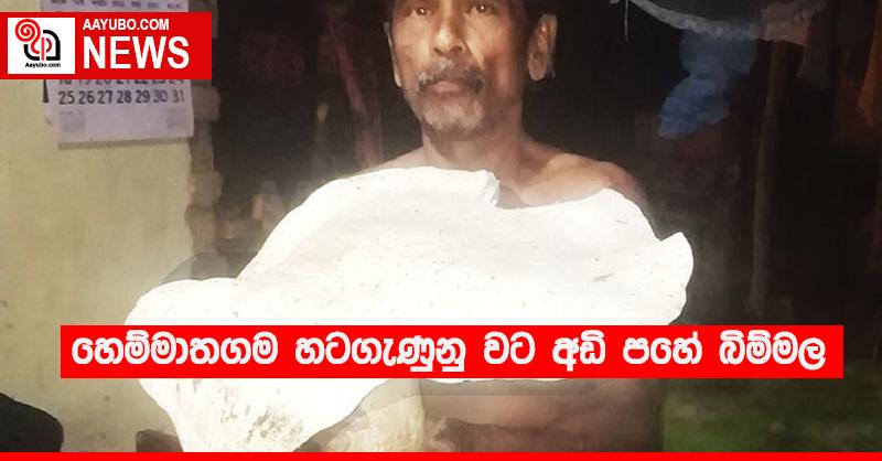 හෙම්මාතගම හටගැණුනු වට අඩි පහේ බිම්මල