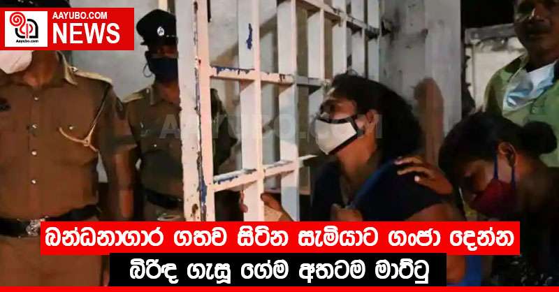 බන්ධනාගාර ගතව සිටින සැමියාට ගංජා දෙන්න බිරිඳ ගැසූ ගේම අතටම මාට්ටු