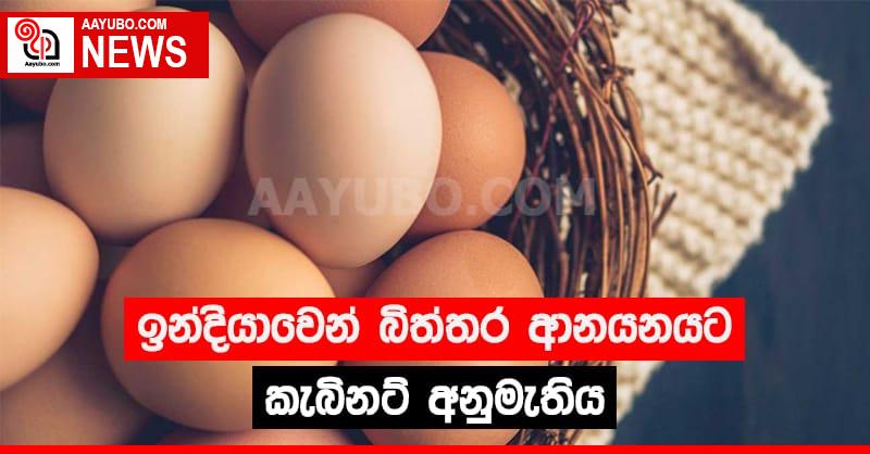 ඉන්දියාවෙන් බිත්තර ආනයනයට කැබිනට් අනුමැතිය