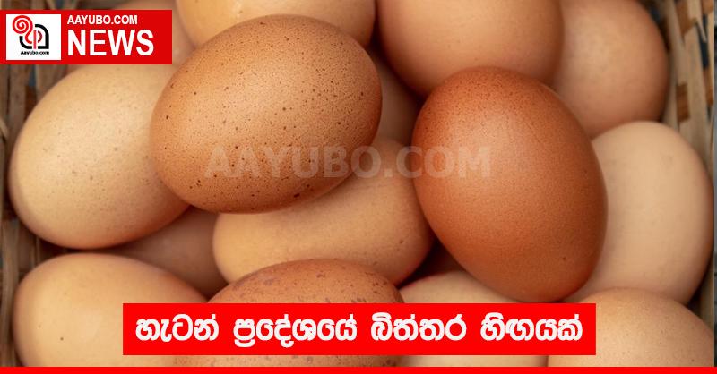 හැටන් ප්‍රදේශයේ බිත්තර හිඟයක්