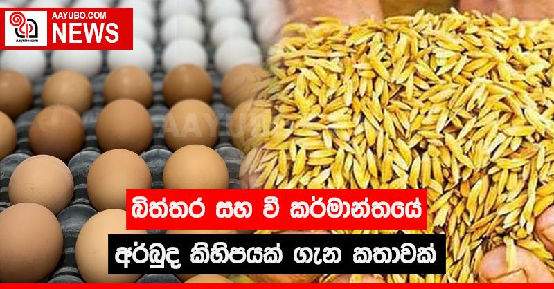 බිත්තර සහ වී කර්මාන්තයේ අර්බුද කිහිපයක් ගැන කතාවක් 