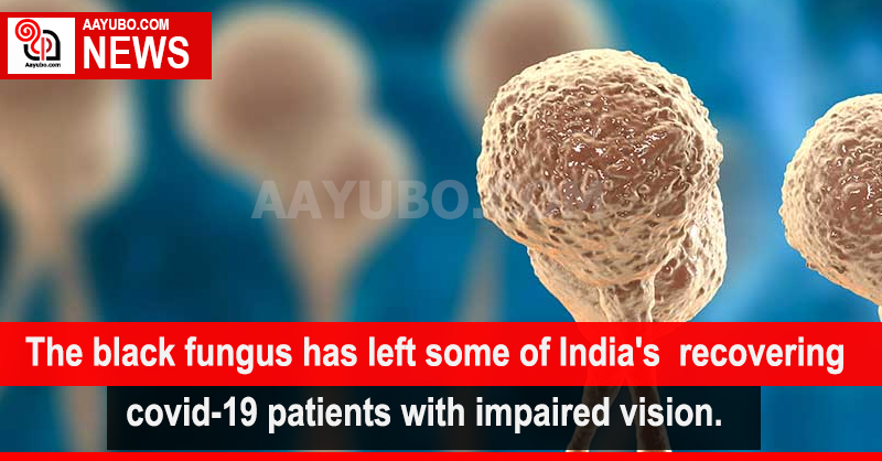 The black fungus has left some of India's recovering covid-19 patients with impaired vision