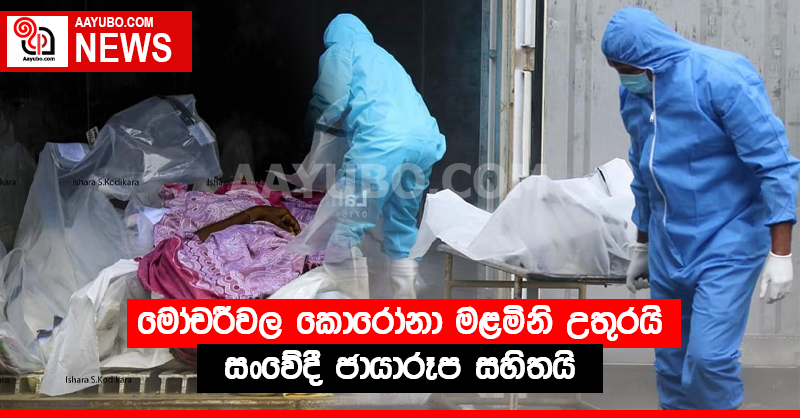 මෝචරීවල කොරෝනා මළමිනි උතුරයි - සංවේදී ජායාරූප සහිතයි (PHOTOS)