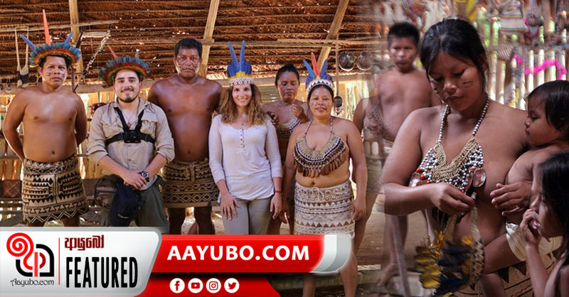 ඇමසන් වන මැද බෝරාවරු