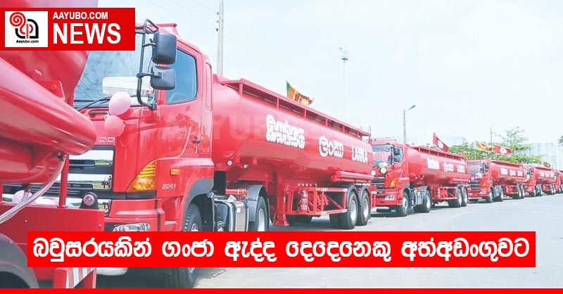 බවුසරයකින් ගංජා ඇද්ද දෙදෙනෙකු අත්අඩංගුවට