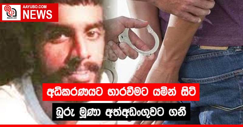 අධිකරණයට භාරවීමට යමින් සිටි බූරු මූණා අත්අඩංගුවට ගනී