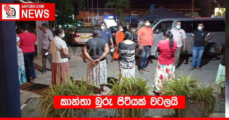 කාන්තා බූරු පිටියක් වටලයි