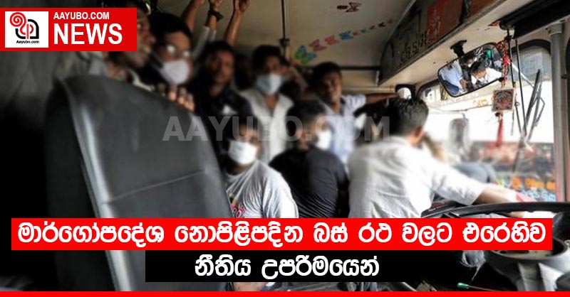 මාර්ගෝපදේශ නොපිළිපදින බස් රථ වලට එරෙහිව නීතිය උපරිමයෙන්