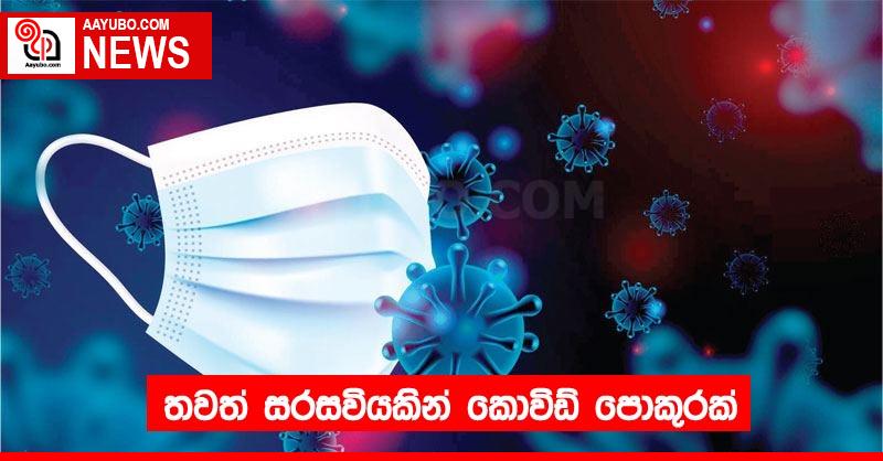 තවත් සරසවියකින් කොවිඩ් පොකුරක්