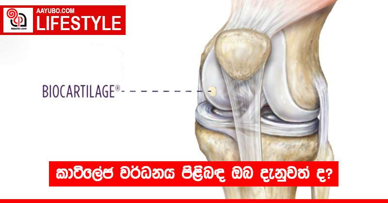 කාටිලේජ වර්ධනය පිළිබඳ ඔබ දැනුවත් ද?