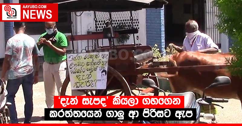 "දැන් සැපද" කියලා ගහගෙන කරත්තයෙන් ගාලු ආ පිරිසට ඇප