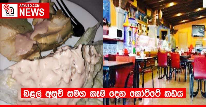 බළල් අසූචි සමග කෑම දෙන කෝට්ටේ කඩය