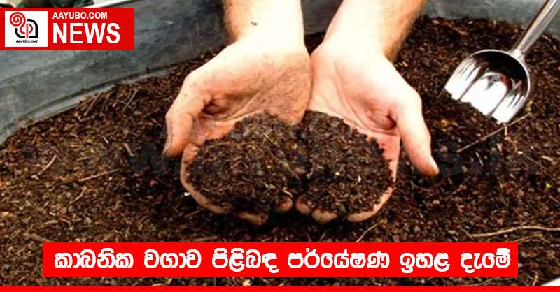 කාබනික වගාව පිළිබඳ පර්යේෂණ ඉහළ දැමේ