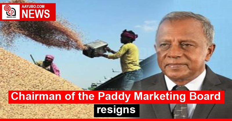 Chairman of the Paddy Marketing Board resigns