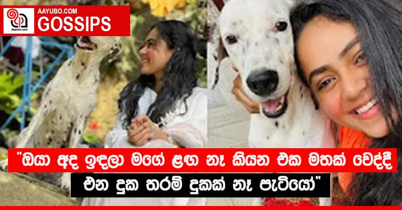 “ඔයා අද ඉඳලා මගේ ළඟ නෑ කියන එක මතක් වෙද්දි එන දුක තරම් දුකක් නෑ පැටියෝ”‍ 