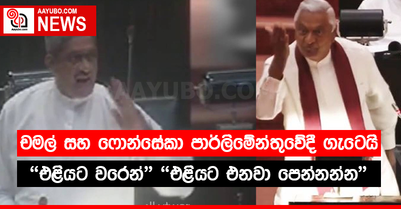 පාර්ලිමේන්තුව උණුසුම්! චමල් හා ෆොන්සේකා ගැටෙයි!! (VIDEO)