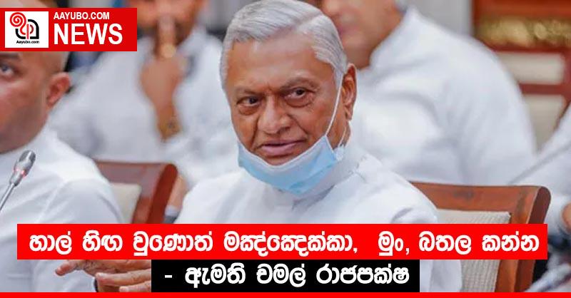 හාල් හිඟ වුණොත් මඤ්ඤෙක්කා, මුං. බතල කන්න – ඇමති චමල් රාජපක්ෂ